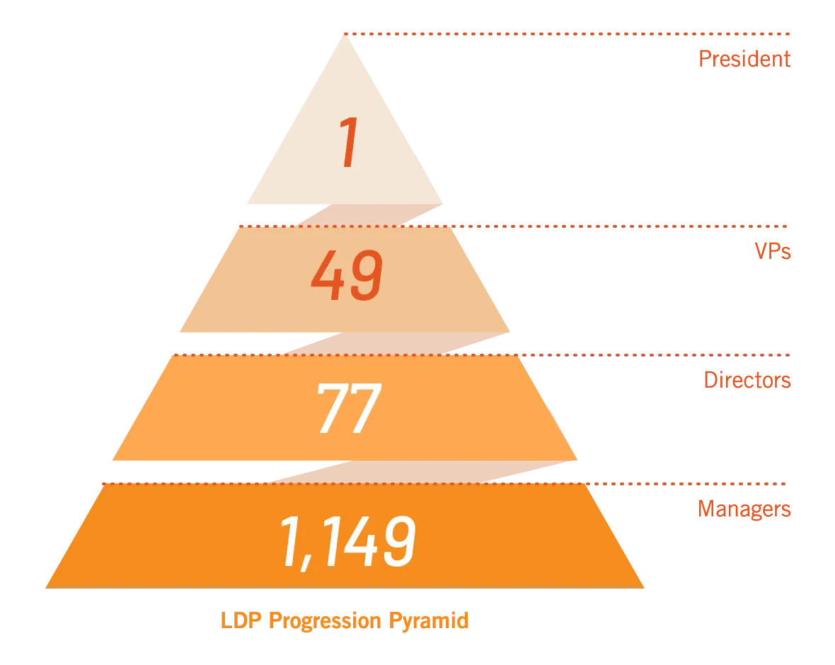 LDP_Progression_Pyramid