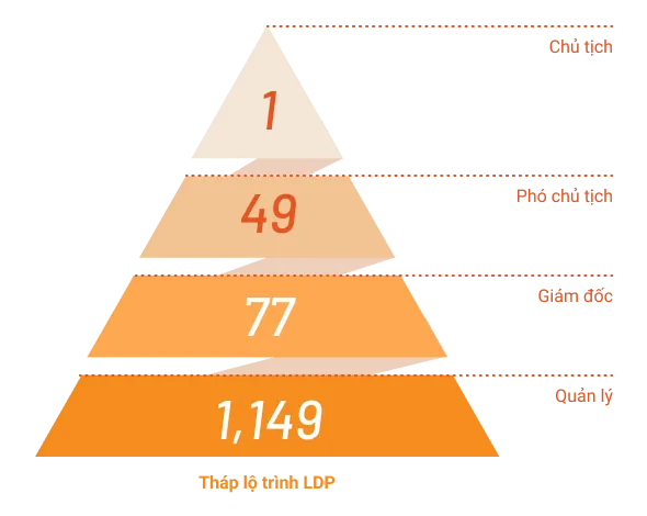 LDP_Progression_Pyramid_vn